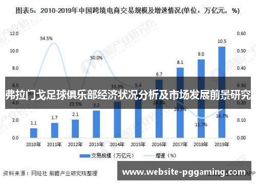 弗拉门戈足球俱乐部经济状况分析及市场发展前景研究