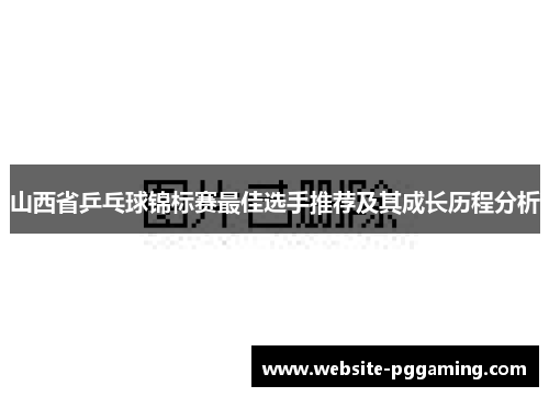 山西省乒乓球锦标赛最佳选手推荐及其成长历程分析