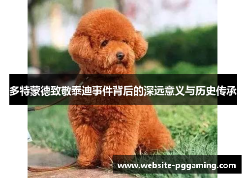 多特蒙德致敬泰迪事件背后的深远意义与历史传承