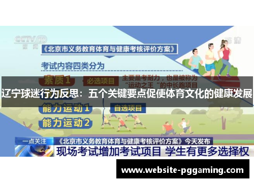 辽宁球迷行为反思：五个关键要点促使体育文化的健康发展