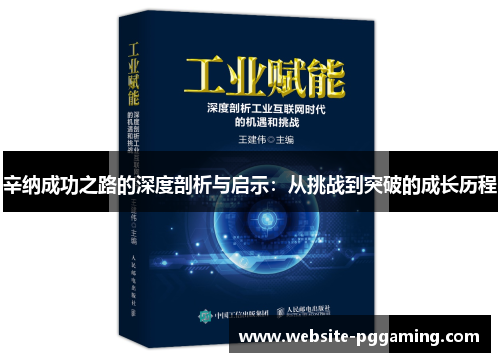 辛纳成功之路的深度剖析与启示：从挑战到突破的成长历程