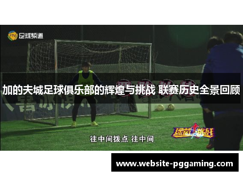 加的夫城足球俱乐部的辉煌与挑战 联赛历史全景回顾