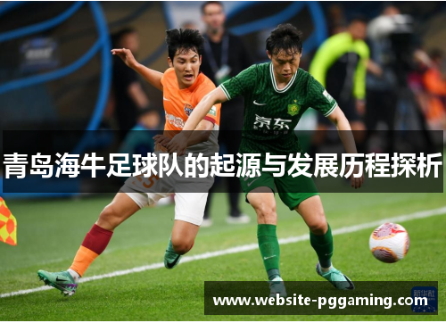 青岛海牛足球队的起源与发展历程探析